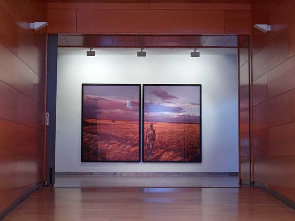 RADICAL BEAUTY, 
DA2 DOMUS ARTIUM 2002