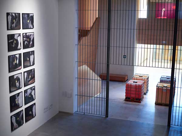 RADICAL BEAUTY, 
DA2 DOMUS ARTIUM 2002