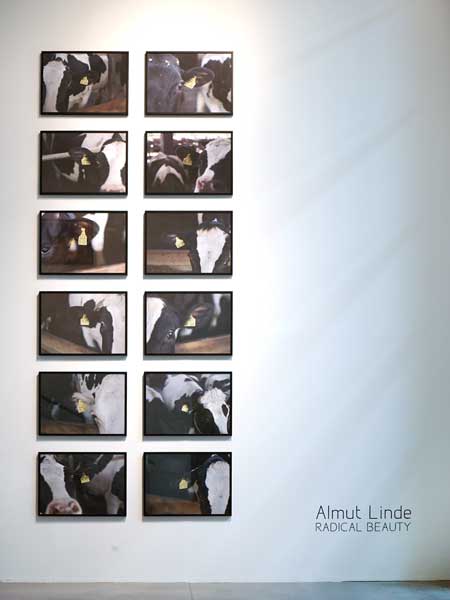 RADICAL BEAUTY, 
DA2 DOMUS ARTIUM 2002