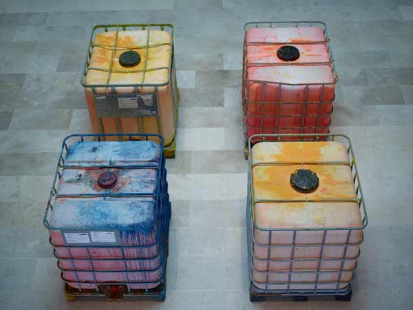 RADICAL BEAUTY, 
DA2 DOMUS ARTIUM 2002