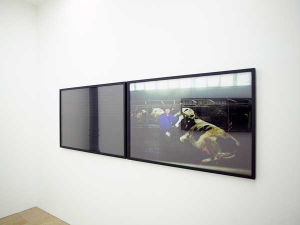 Radical Beauty Kunstpalais Erlangen